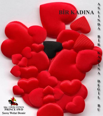 SWD Book :: To A Women 1001 (Poetry by SWD / Turkish) 